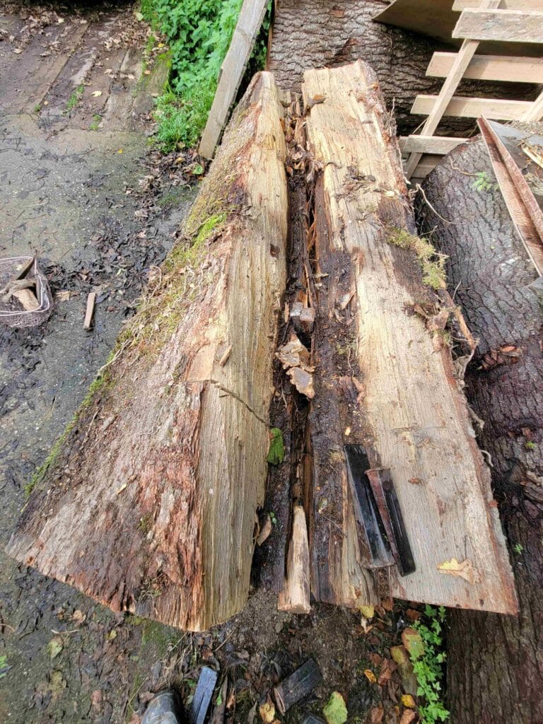 Cleaving Oak Log With Wedges
